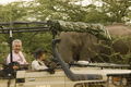Open sided vehicles with canvas canopies that roll up whilst game viewing allows passengers an undisturbed view of animals and the surrounding bush.