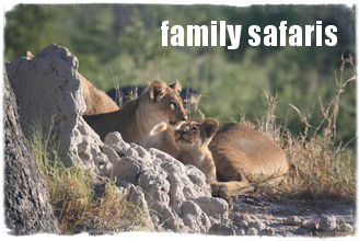 Family Holidays