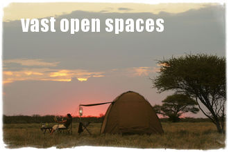 Central Kalahari Game Reserve