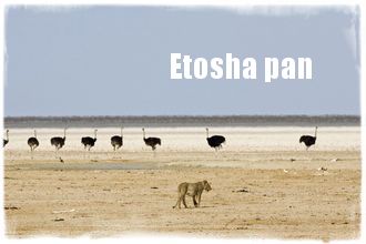 Etosha National Park