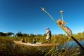 Explore the Okavango Delta waterways by mokoro - a dug-out canoe used as transport by Botswana locals