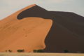 Explore the breathtaking scenery of the Namib Desert's towering sand dunes; your guide will give you a valuable insight into this remarkable area.