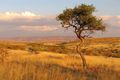 Namibia's wide open spaces and pristine wilderness never fails to inspire. Stay in a luxury mobile camp in wilderness locations.