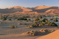 The Namib desert has some of the most dramatic and spectacular scenery found anywhere