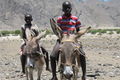 Donkeys are a popular mode of travel in rural Namibia and encounters such as this are common during your travels.