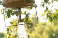 Wash off the dust at the end of each day's wildlife viewing under your own private bucket shower