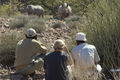 Spend time tracking desert-adapted rhino with <i>Save the Rhino Trust</i> in the remote Palmwag Reserve