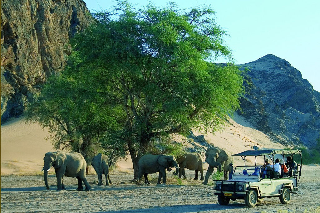 namibia safari consulting outback africa