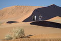 A walk through the dunes of Sossusvlei with your guide gives you an enthralling look at life forms found here.