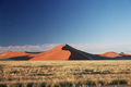 The apricot coloured dunes in Namibia's desert reach heights of about 300 metres