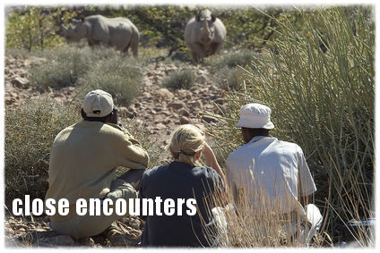 Remote Namibia Safari